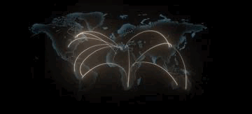 Global Energy Network